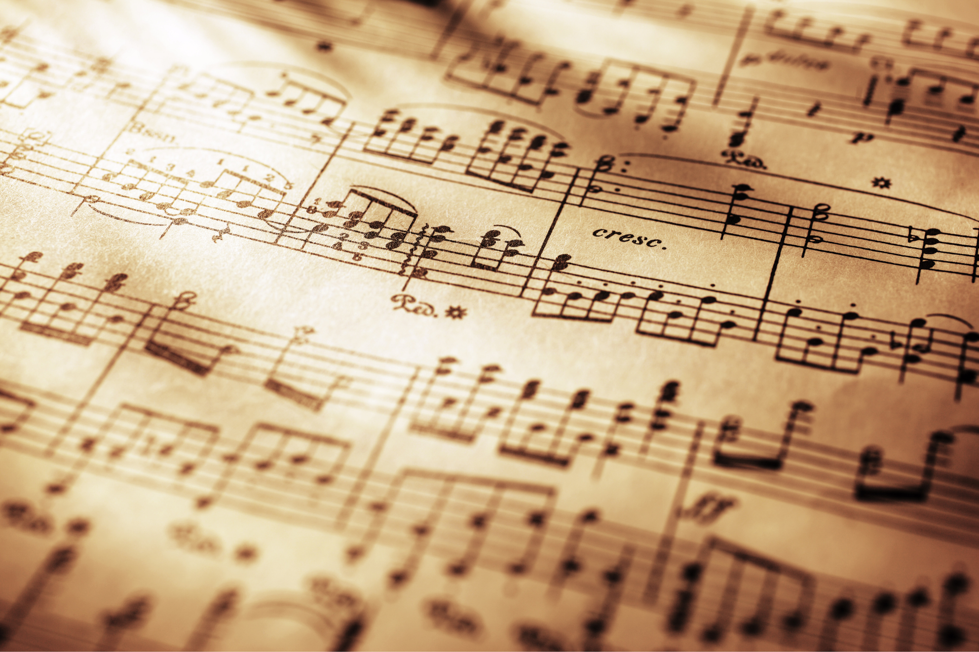 音楽理論